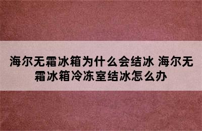 海尔无霜冰箱为什么会结冰 海尔无霜冰箱冷冻室结冰怎么办